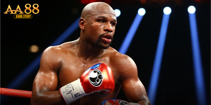 Các loại kèo boxing tại AA88