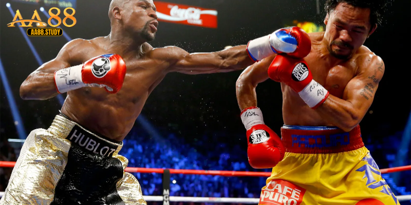 Kinh nghiệm soi kèo boxing tại AA88