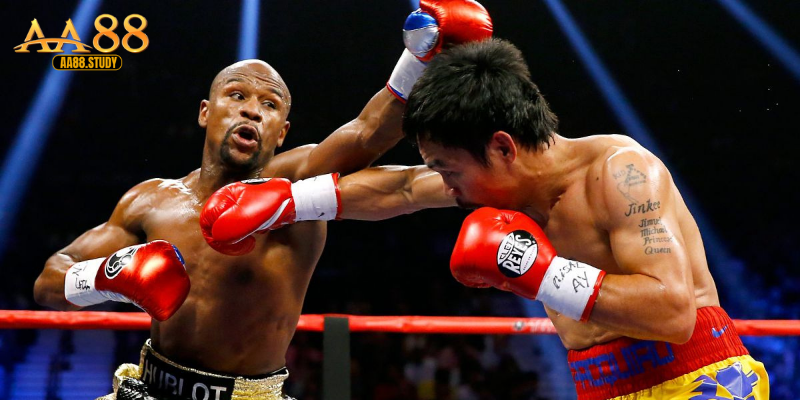 Tìm hiểu về boxing tại AA88